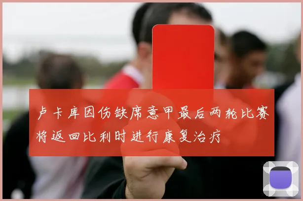 卢卡库因伤缺席意甲最后两轮比赛将返回比利时进行康复治疗